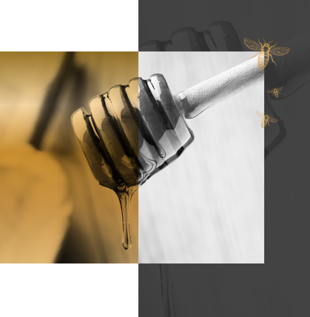 aurmel gold honey arabic