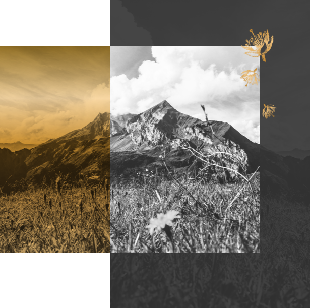 Aurmel Montain Japan