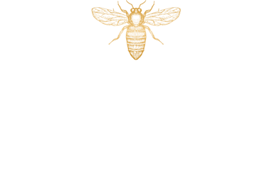 aurmel gold honey mandarin